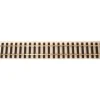 Aristo-Craft 11060 Euro Brass 24" Straight Track - Model Train Junction: Quality Parts and Art Supplies