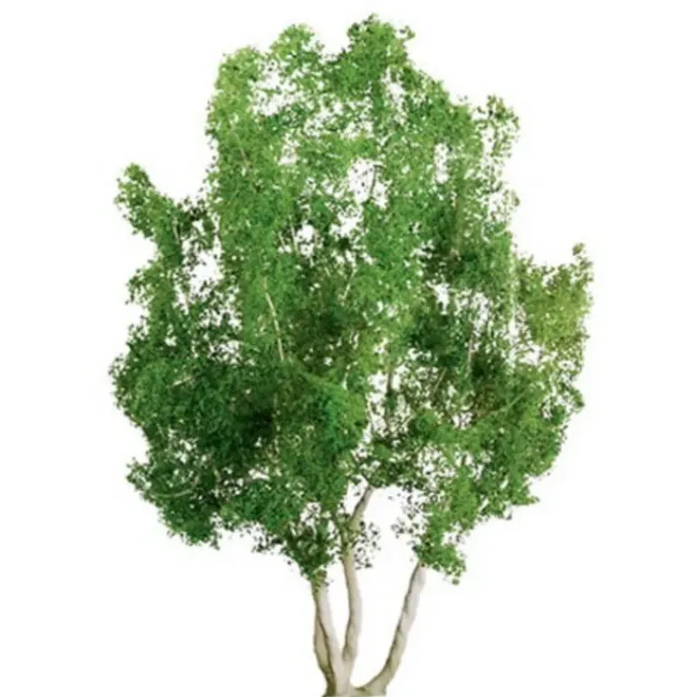 JTT Scenery Products 96014 HO And N 4" Professional Snow Gum Tree (Box of 2) - Model Train Junction: Quality Parts and Art Supplies