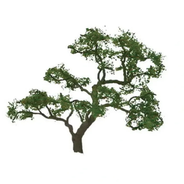 JTT Scenery Products 94431 N 3" Professional Beech Tree (Pack of 2) - Model Train Junction: Quality Parts and Art Supplies