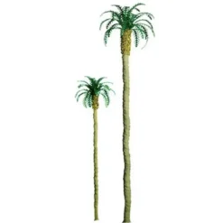 JTT Scenery Products 96009 O 9" Professional Series Palm Tree - Model Train Junction: Quality Parts and Art Supplies