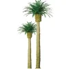 JTT Scenery Products 96045 O 8" Professional Phoenix Palm Tree - Model Train Junction: Quality Parts and Art Supplies