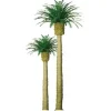 JTT Scenery Products 96044 O 6" Professional Phoenix Palm Tree - Model Train Junction: Quality Parts and Art Supplies