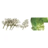 JTT Scenery Products 92019 Z 1.5-3" Premium Sycamore Tree (Pack of 30) - Model Train Junction: Quality Parts and Art Supplies