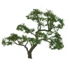 JTT Scenery Products 94429 Z 1.5" Professional Beech Tree (Pack of 4) - Model Train Junction: Quality Parts and Art Supplies