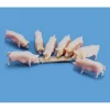 Modelscene 5108 HO PIGS & TROUGH - Model Train Junction: Quality Parts and Art Supplies