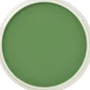 PanPastel, 26605, Artist Pastel, Chromium Green, 660.5 - Model Train Junction: Quality Parts and Art Supplies