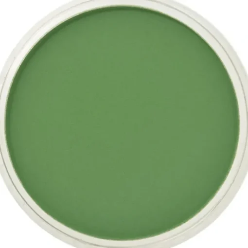 PanPastel, 26605, Artist Pastel, Chromium Green, 660.5 - Model Train Junction: Quality Parts and Art Supplies