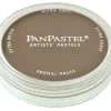 PanPastel, 27805, Artist Pastel, Raw Umber - Model Train Junction: Quality Parts and Art Supplies