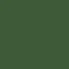 Tru-Color Paint, TCP-023, Airbrush Ready, CP Rail Action Green, 1 oz - Model Train Junction: Quality Parts and Art Supplies