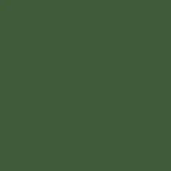 Tru-Color Paint, TCP-023, Airbrush Ready, CP Rail Action Green, 1 oz - Model Train Junction: Quality Parts and Art Supplies