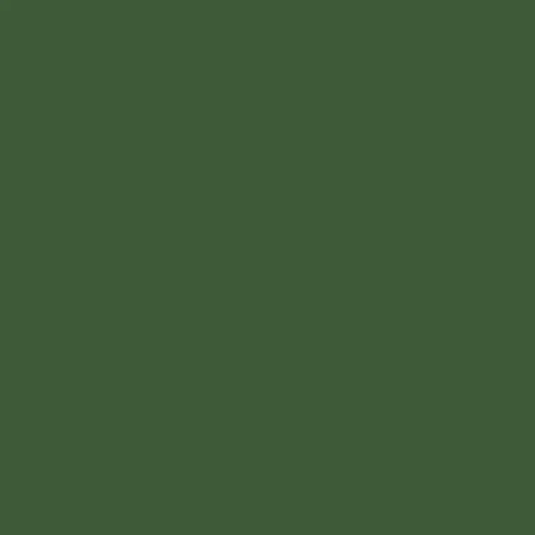 Tru-Color Paint, TCP-023, Airbrush Ready, CP Rail Action Green, 1 oz - Model Train Junction: Quality Parts and Art Supplies
