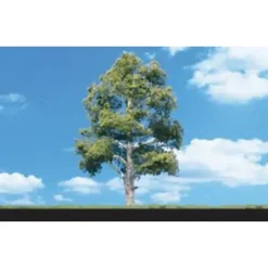 Woodland Scenics TR3539 8" - 9" Waters Edge Deciduous Trees (Pack of 2) - Model Train Junction: Quality Parts and Art Supplies