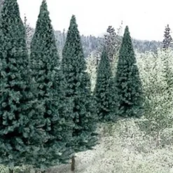 Woodland Scenics TR1587 2" - 4" Blue Spruce Ready Made Trees (Pack of 18) - Model Train Junction: Quality Parts and Art Supplies